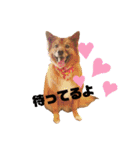 I’m なつき（個別スタンプ：4）