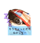 I’m なつき（個別スタンプ：7）