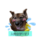 I’m なつき（個別スタンプ：9）
