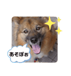 I’m なつき（個別スタンプ：10）