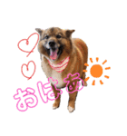 I’m なつき（個別スタンプ：12）