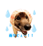 I’m なつき（個別スタンプ：13）