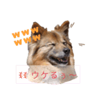 I’m なつき（個別スタンプ：15）