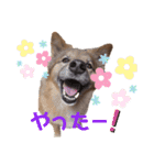 I’m なつき（個別スタンプ：16）