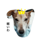 我が家の愛犬ジュリ（個別スタンプ：7）