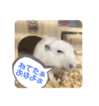 はすかちゃん 2（個別スタンプ：1）