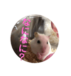 はすかちゃん 2（個別スタンプ：3）
