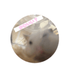 はすかちゃん 2（個別スタンプ：6）