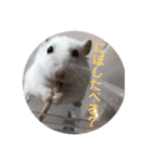 はすかちゃん 2（個別スタンプ：7）