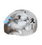 めめちゃん③（個別スタンプ：2）