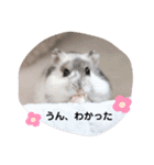 めめちゃん③（個別スタンプ：3）
