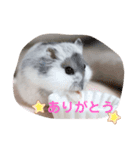 めめちゃん③（個別スタンプ：4）