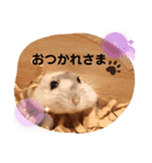 めめちゃん③（個別スタンプ：5）