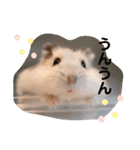 めめちゃん③（個別スタンプ：8）
