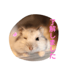 めめちゃん③（個別スタンプ：11）