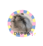 めめちゃん③（個別スタンプ：13）