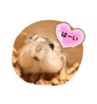 めめちゃん③（個別スタンプ：14）