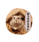 めめちゃん③（個別スタンプ：15）