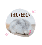 めめちゃん③（個別スタンプ：16）