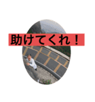 Hussle In The House vol2.（個別スタンプ：10）