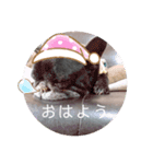 なつこのためのスタンプ（個別スタンプ：5）