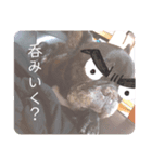 なつこのためのスタンプ（個別スタンプ：6）