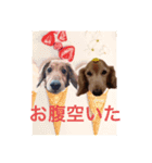 りく君＆かい君（個別スタンプ：5）