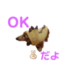 りく君＆かい君（個別スタンプ：6）