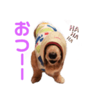 りく君＆かい君（個別スタンプ：8）