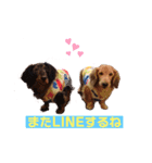 りく君＆かい君（個別スタンプ：12）