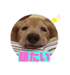 りく君＆かい君（個別スタンプ：13）