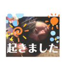 ☆アキ☆スタンプ（個別スタンプ：13）