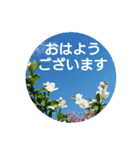 毎日に優しさを♥️  (お花たち)（個別スタンプ：1）