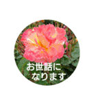 毎日に優しさを♥️  (お花たち)（個別スタンプ：5）