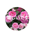 毎日に優しさを♥️  (お花たち)（個別スタンプ：7）