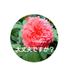 毎日に優しさを♥️  (お花たち)（個別スタンプ：10）