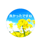 毎日に優しさを♥️  (お花たち)（個別スタンプ：12）