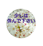 毎日に優しさを♥️  (お花たち)（個別スタンプ：14）