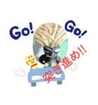 カメハメHAWAII（個別スタンプ：2）