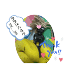カメハメHAWAII（個別スタンプ：6）