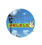 CaribnoUmi 1（個別スタンプ：17）