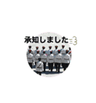 CaribnoUmi 1（個別スタンプ：30）