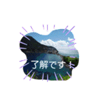 CaribnoUmi 1（個別スタンプ：31）