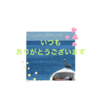 CaribnoUmi 1（個別スタンプ：32）