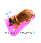 I’m なつき②（個別スタンプ：1）