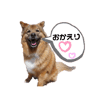 I’m なつき②（個別スタンプ：2）