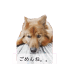 I’m なつき②（個別スタンプ：3）