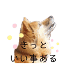 I’m なつき②（個別スタンプ：6）