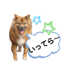 I’m なつき②（個別スタンプ：7）