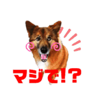 I’m なつき②（個別スタンプ：9）